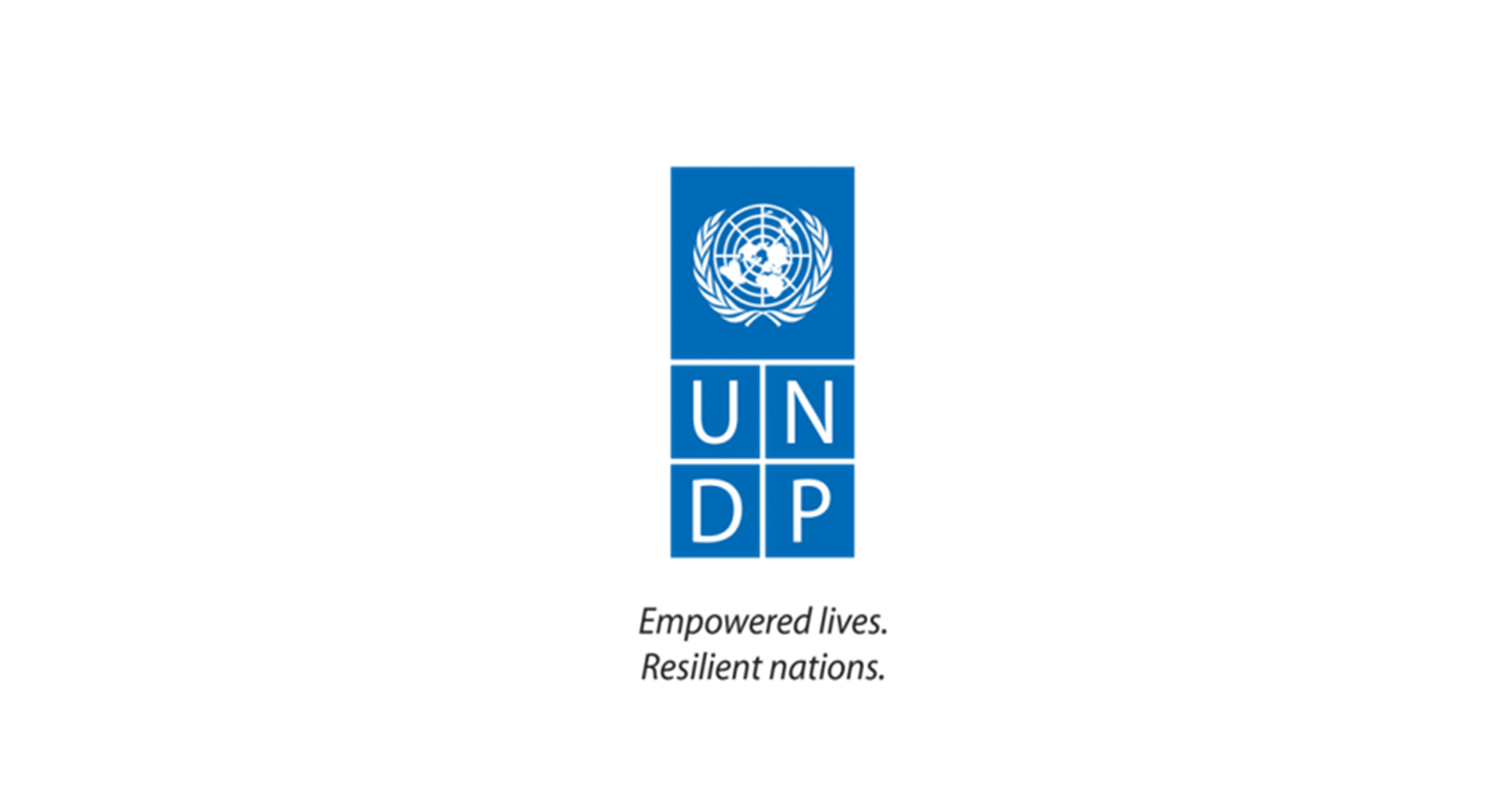 联合国开发计划署 UNDP